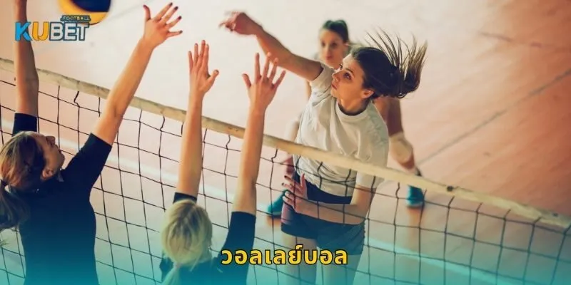 วอลเลย์บอล พลังแห่งทีมเวิร์ก – ลุ้นผลแม่นยำที่ Kubet