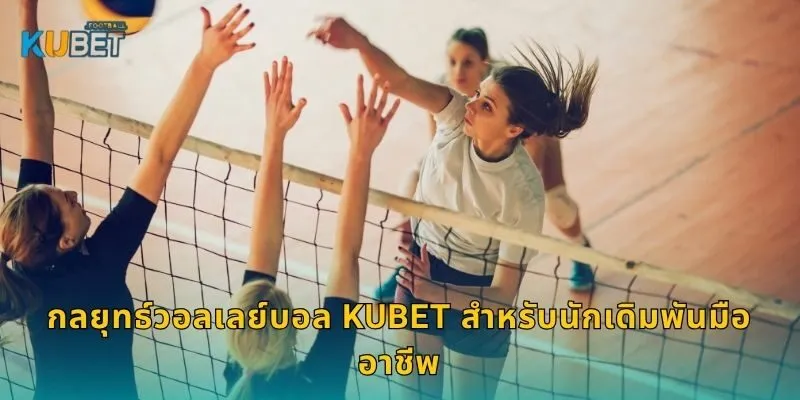 กลยุทธ์วอลเลย์บอล Kubet สำหรับนักเดิมพันมืออาชีพ
