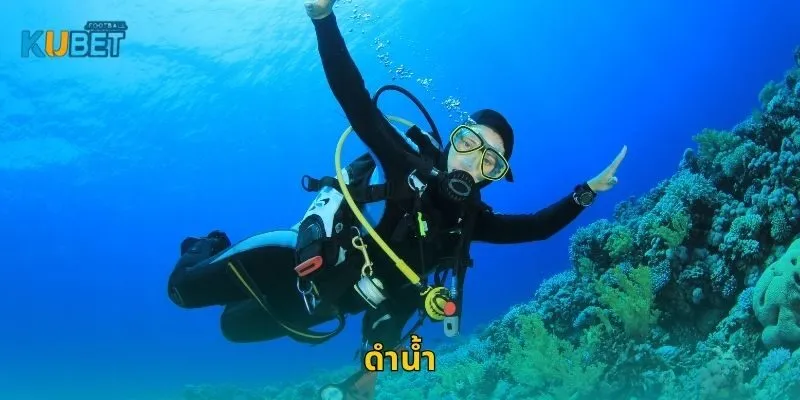 ดำน้ำ เปิดโลกใต้ทะเล – ผจญภัยปลอดภัยที่ Kubet