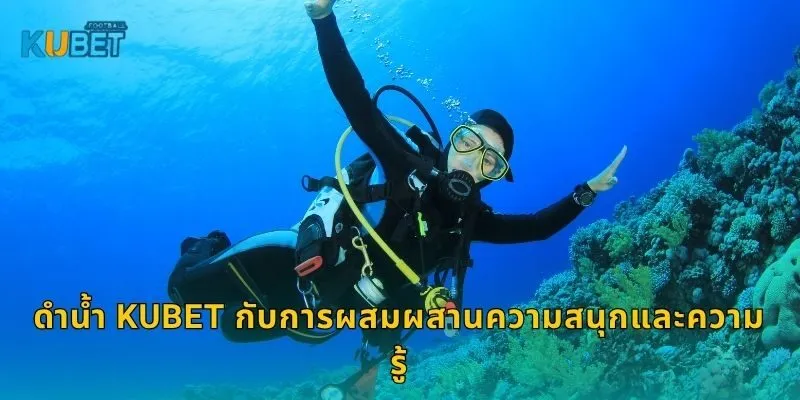 ดำน้ำ Kubet กับการผสมผสานความสนุกและความรู้